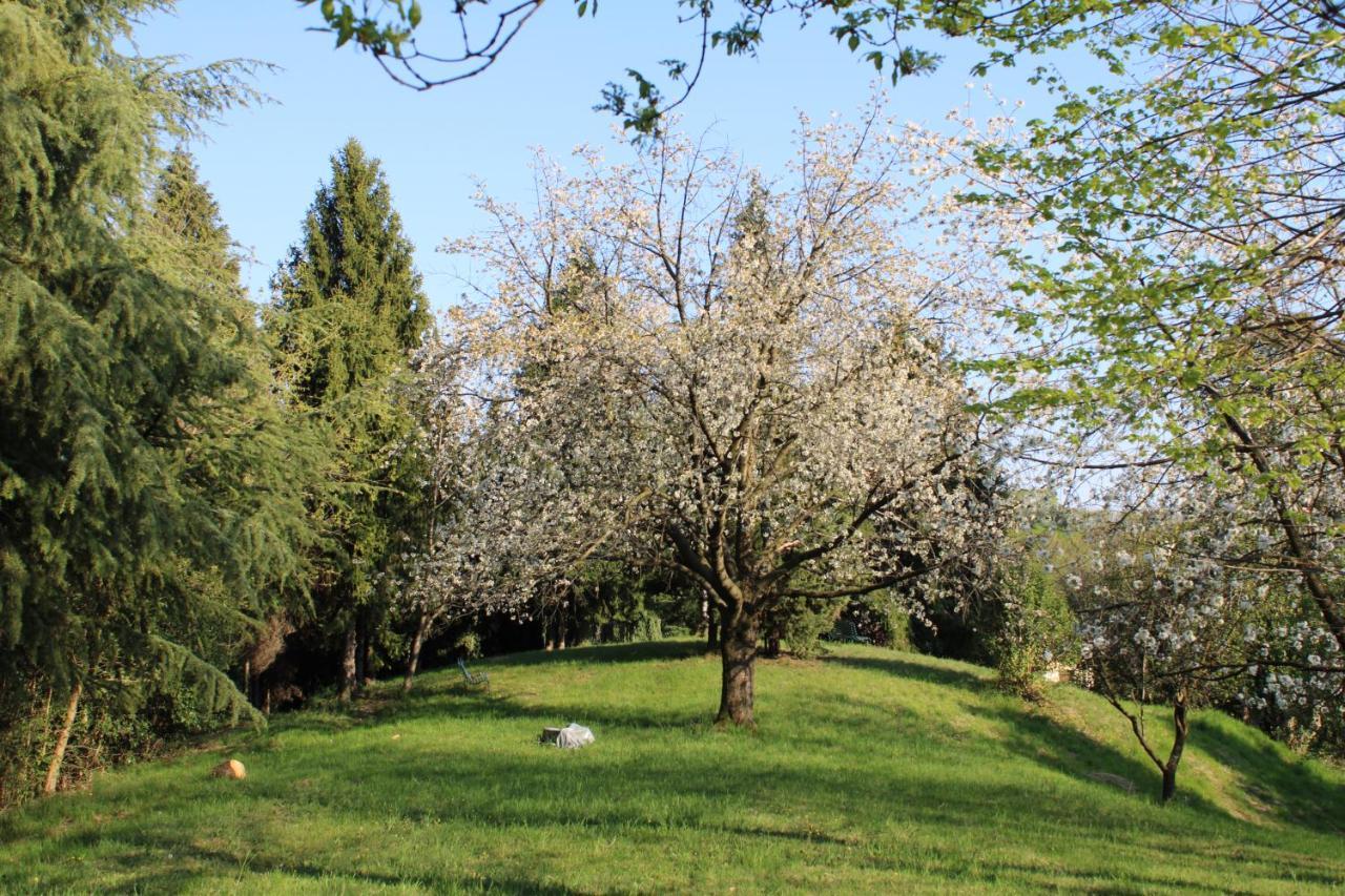 Flangini * Asolo